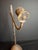 Antique 18th C Wrought Iron Rushlight Candle Holder Hand Forged Early Lighting For Sale - Image 9 of 12