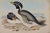 Realism Three Gould Hand-Colored Lithographs From Birds of Australia and New Zealand, 1840-1848 For Sale - Image 3 of 12