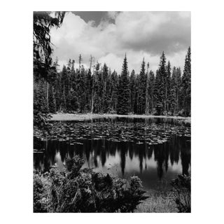 1969 Yellowstone Landscape Black & White Photograph For Sale