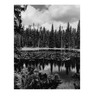 1969 Yellowstone Landscape Black & White Photograph