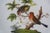 Late 20th Century Herend Hungary Rothschild Bird China Serving Plates Bowls Cachepots - 30 pcs For Sale - Image 15 of 18