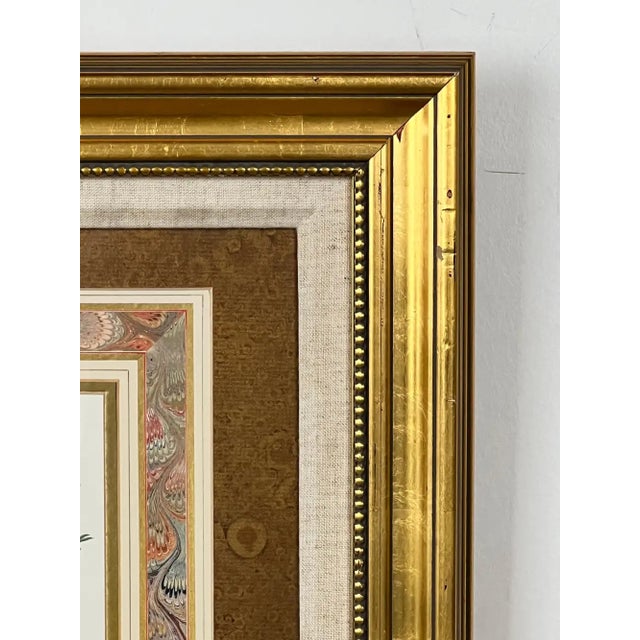 Vintage Botanical Rose Rosa Centifolia After Van Spaendonck Gilt Framed Print 1960's For Sale - Image 11 of 13