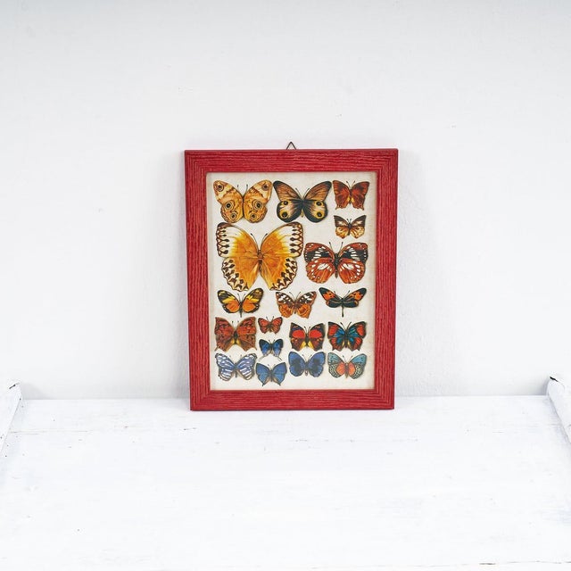 Paper Butterfly Nature Chart, 1980s For Sale - Image 7 of 7