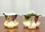 Signed A. Koch J&c Bavaria Hand-Painted Grape Porcelain Service - 5 pcs For Sale - Image 4 of 12