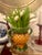 Stunning, highly collectible 19th-century Victorian Majolica pineapple pitcher. This exquisite piece features a...