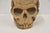 1940s Large Folk Art Skull Wood Carving For Sale - Image 4 of 11