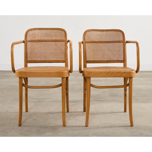 Thonet Set of Four Thonet Prague Bentwood Armchairs by Josef Hoffman For Sale - Image 4 of 18