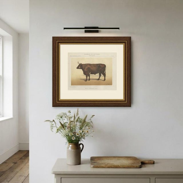 Paper Borie, Flemish Ox, French Cattle Breed, 1863, Chromolithograph For Sale - Image 7 of 9