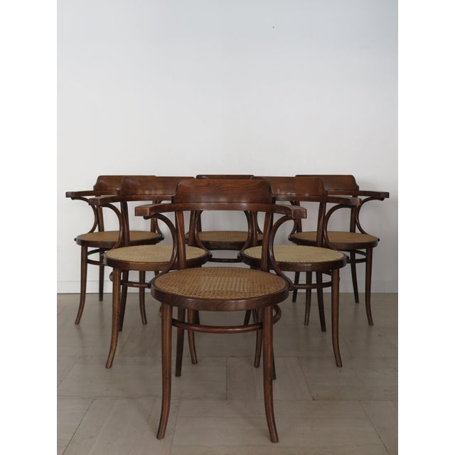 Thonet Vintage Chairs by Michael Thonet for Thonet, 1930s, Set of 6 For Sale - Image 4 of 18