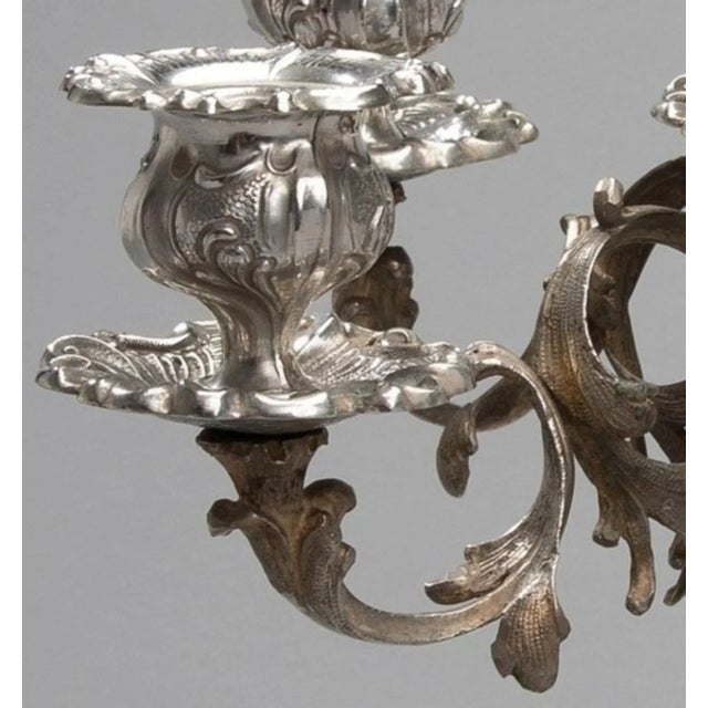 Antique 1800s Rocaille Decor Silver Candelabras - a Pair For Sale - Image 4 of 7