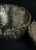 Medium Gravity Bowl in Patinated Cast Bronze by William Guillon For Sale - Image 11 of 18