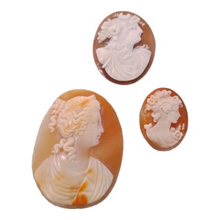 Group of 3 High Relief Cameos Carved From Bullmouth Shell For Sale