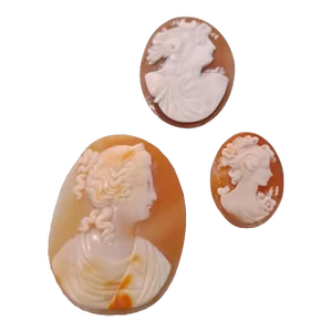 Group of 3 High Relief Cameos Carved From Bullmouth Shell