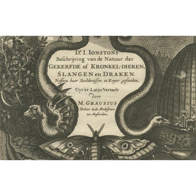 Jan Jonston, Natural History Title Page, Insects & Serpents, Amsterdam. 1660, Paper For Sale - Image 3 of 10