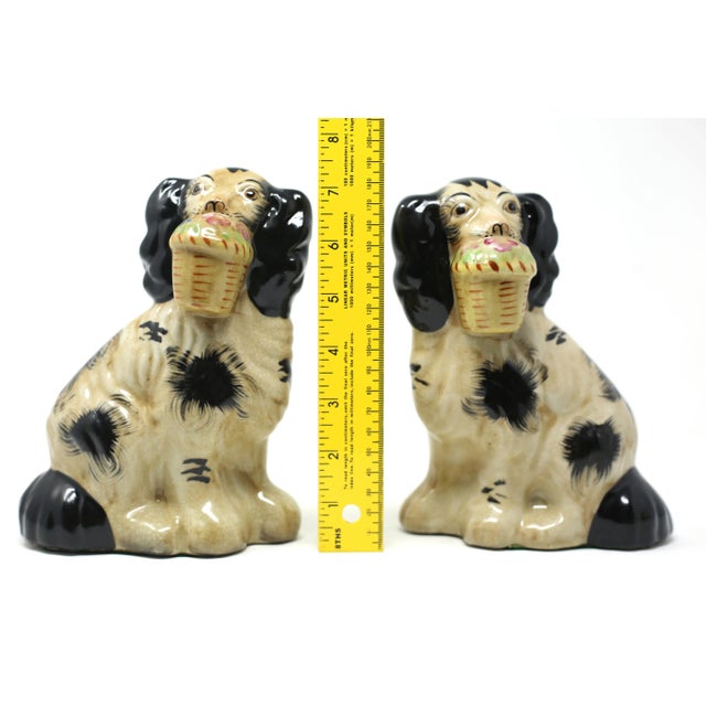 Vintage Staffordshire-Style Cavalier King Spaniel Ceramic Dog Figurines - Set of 2 For Sale - Image 9 of 11