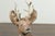 Mid 20th Century American 1950s Concrete Reclining Deer with Antlers and Weathered Appearance For Sale - Image 5 of 9