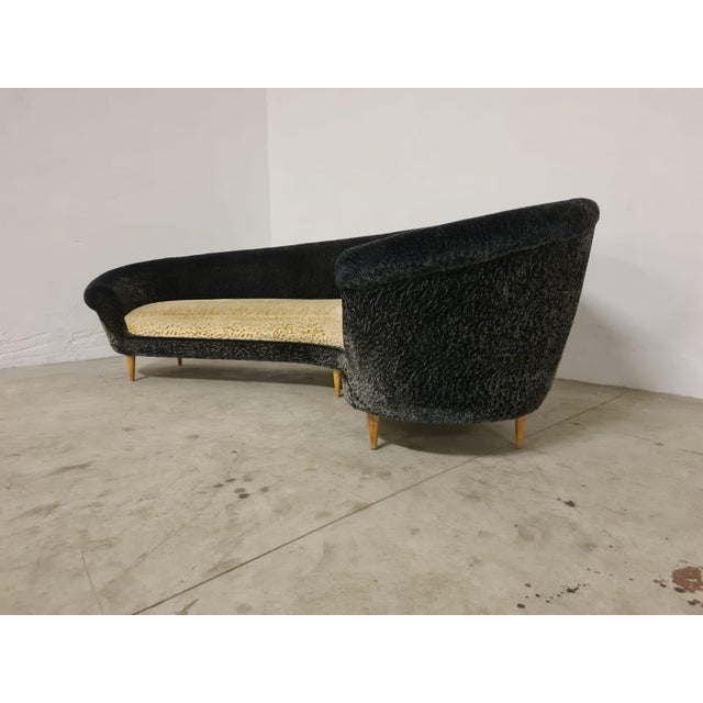 Curved Sofa by Federico Munari, 1950s For Sale - Image 18 of 18