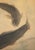 Wood 1900-1940s Large Japanese Silk Scroll Painting "Two Carps", Signed and Sealed For Sale - Image 7 of 15