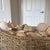 Tan Noah’s Ark Coastal Centerpiece: Woven Boat Basket Overfilled With Sea Shells For Sale - Image 8 of 11