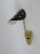 Metal Italian Brass, Black Lacquered Aluminum and Glass Bead Sconces, 1950s, Set of 2 For Sale - Image 7 of 18