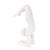 Yin Scorpion Yoga Pose in Polyresin For Sale - Image 9 of 11
