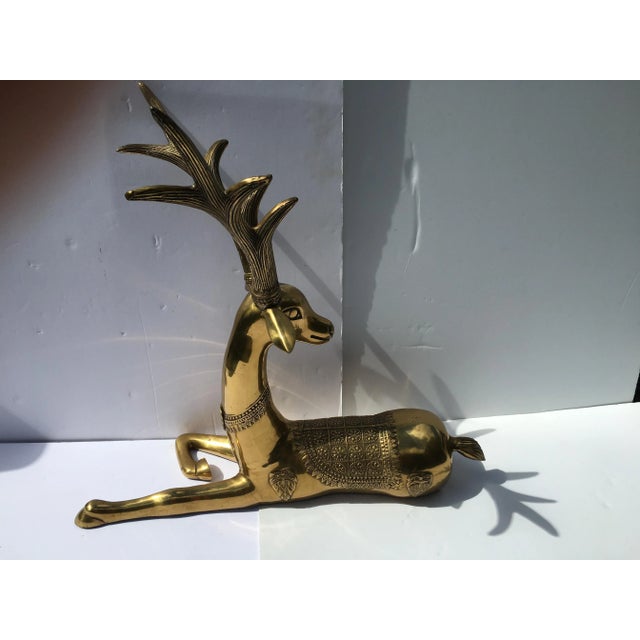 1970s Recumbent Brass Deer For Sale In Boston - Image 6 of 10