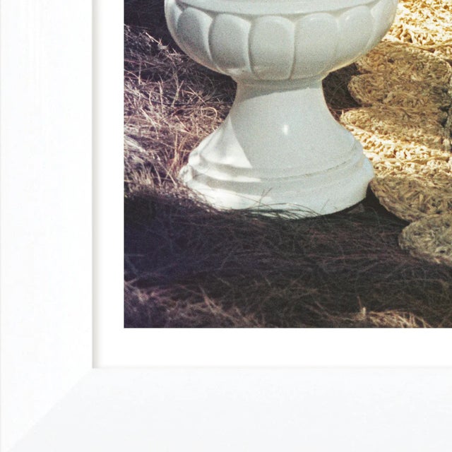 Gloria Schiff, the twin sister of Consuelo Crespi, with her pet dog and pet birds at Lyford Cay in the Bahamas. George...