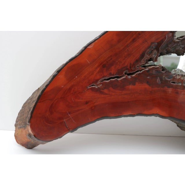 Wall Mirror Cypress Tree Biomorphic Form For Sale - Image 4 of 10