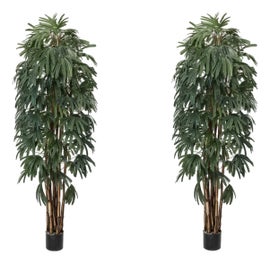 Example of Greenery Sale