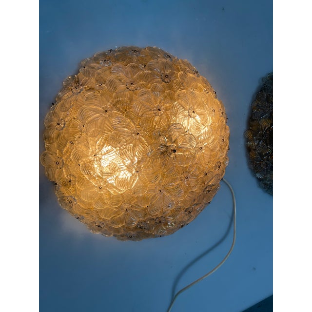 Seguso Vetri d'Arte Murano Glass Flower Flushmounts from Seguso, 1960s, Set of 2 For Sale - Image 4 of 13