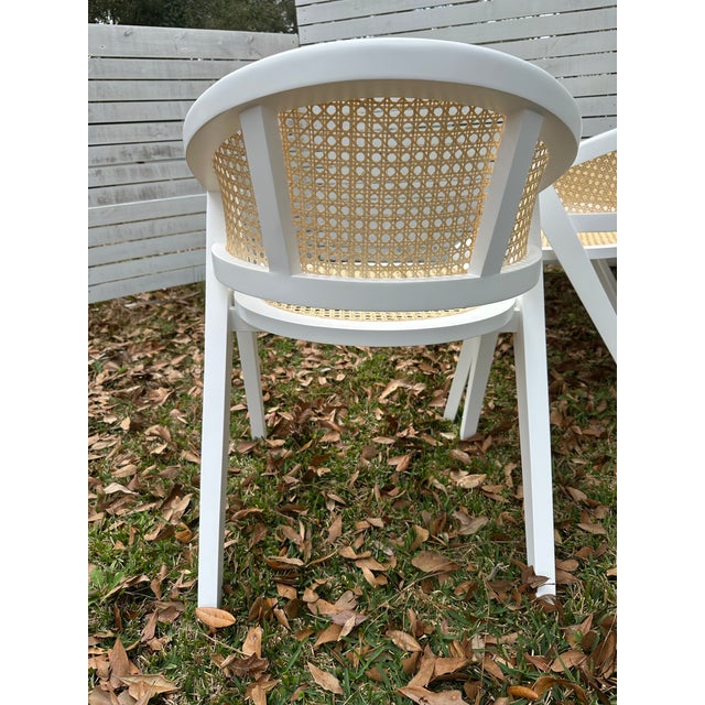 Cane Back Barrel Chairs Set of 4 For Sale - Image 11 of 12