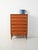 Danish teak chest of drawers from the 1960s, with carved handles and refined color contrasts. Danish teak chest of drawers...