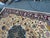 6ft X 8ft 10in Turkish Oriental Pale Yellow Area Rug For Sale - Image 9 of 12