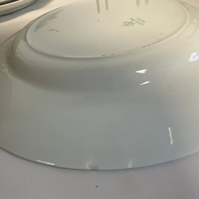 Mid 20th Century Mid-Century English Rustic European Botanical Rim Johnson Brothers China - Set of 44. For Sale - Image 5 of 11