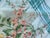 Vintage Martha Stewart Napkins - Set of 6 For Sale In Savannah - Image 6 of 8
