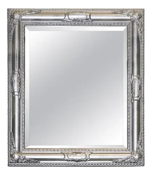 Silver Carved Silver Bevelled Rectangular Mirror