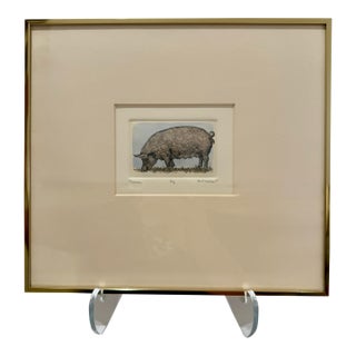 Mid 20th Century Susan Hunt-Wulkowicz Signed Limited Edition Pig Etching Framed Farm Animal Print For Sale