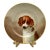 Antique Creil Montereau Terre De Fer Hand Painted Dog Plate France 19th C (2) For Sale