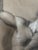 1900 - 1909 1900s Academic Study Nude Male Florentine School - Unsigned Ink For Sale - Image 5 of 8