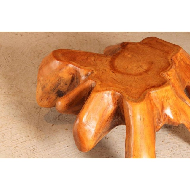 Wood Vintage Brutalist Style Teak Root Coffee Table, 1970s For Sale - Image 7 of 9