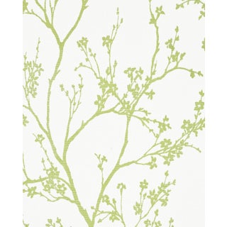 Schumacher Twiggy Paperweave Wallpaper in Leaf For Sale