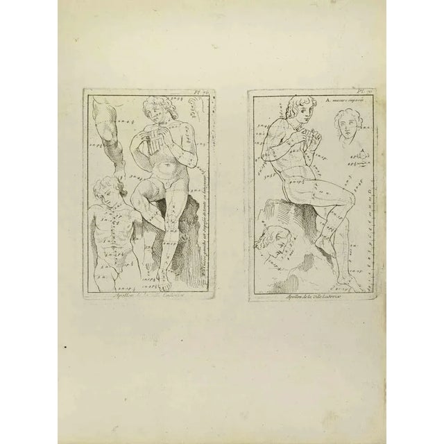Apollon is an etching realized by Jean François Poletnich in 18th Century. Good conditions. The artwork is depicted...
