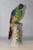 Porcelain Parrot in the style of Meissen, 20th Century For Sale - Image 9 of 12