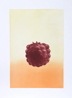 Hank Laventhol, "Raspberry," Aquatint Etching