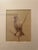 The Natural Light Gold Framed Bird Portrait Wall Art Pair For Sale - Image 4 of 12