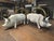 Metal Painted White Cast Iron Pigs, Set of 2 For Sale - Image 7 of 15