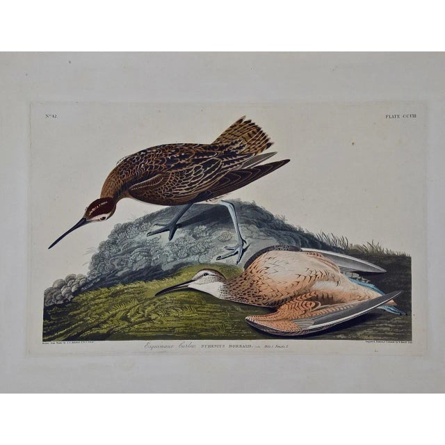This is an original hand-colored folio edition John James Audubon engraving entitled "Esquimaux Curlew", Folio, Pl....
