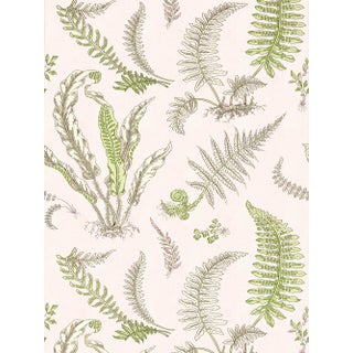 The House of Scalamandré Elsie De Wolfe Wallcovering, Ballet Slipper For Sale