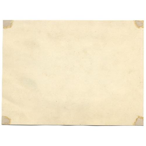 James Holland OWS, Hibiscus & Poppy Flower, 1825, Watercolour Painting For Sale - Image 3 of 4