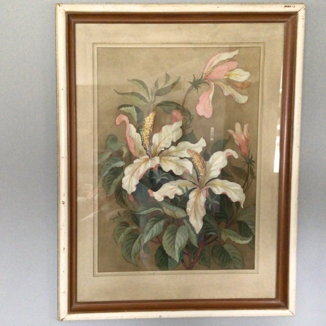 Floral Water Color 1915 California Artist Barbara Vinette Framed For Sale - Image 11 of 12